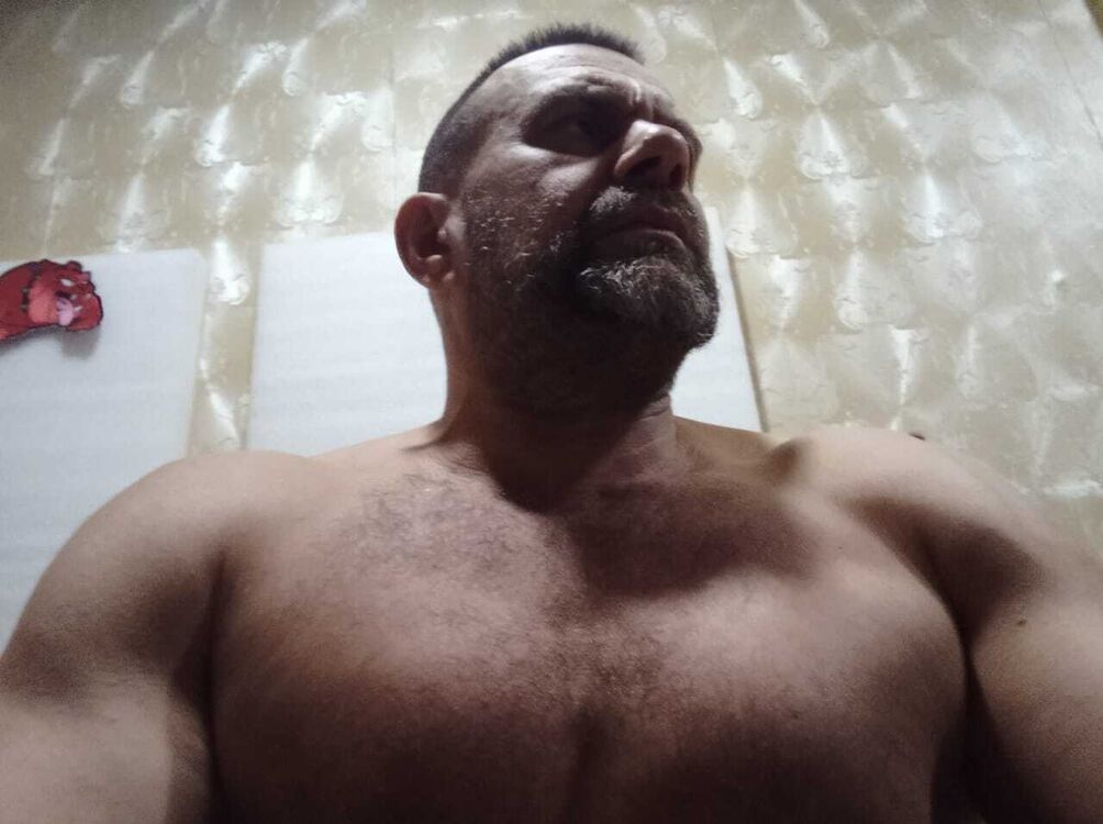  53016480  , 51 ,    