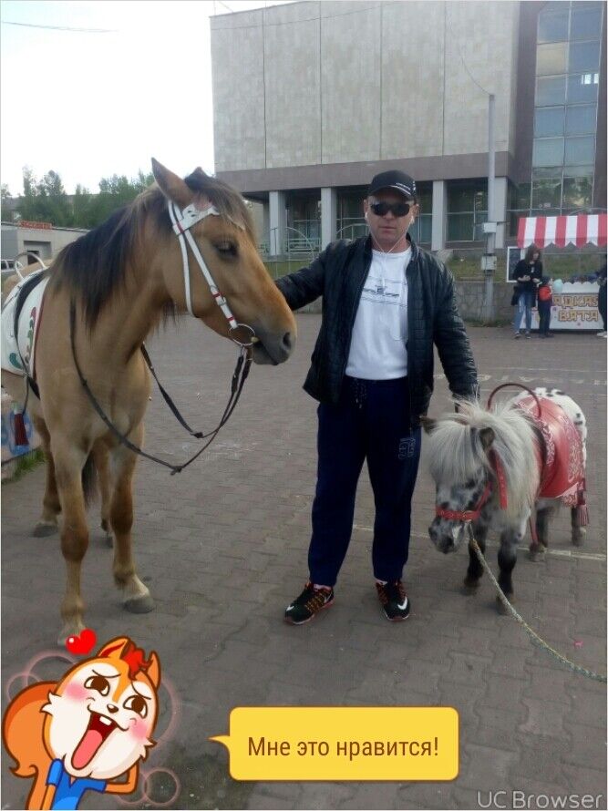 ���������� ������, ���� ������� ������, 46 ���, ������������ ��� ������, ����� � ���������, c�������� ���������