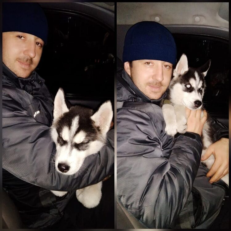 ���� 39535450 ������� ��, 35 ���, ���� ���������� � ������������