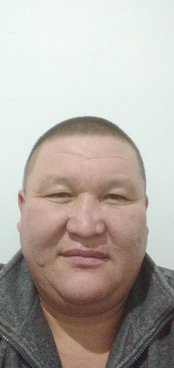 ���� 22058080 ������� ������, 50 ���, ���� ���������� � ������