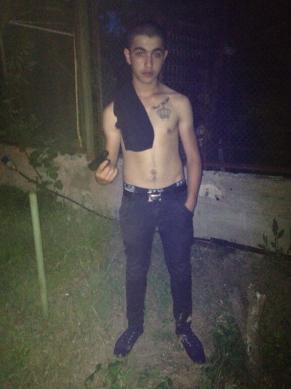 ���� 4628630 ������� Peto, 29 ���, ���� ���������� � �������