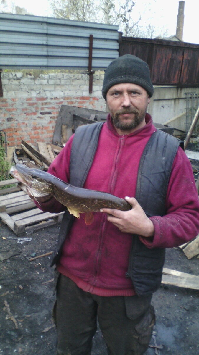 ���� 14214520 ������� ��������, 50 ���, ���� ���������� � ��������