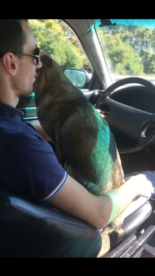 ���������� �������, ���� ������� �������, 35 ���, ������������ ��� ������, ����� � ���������