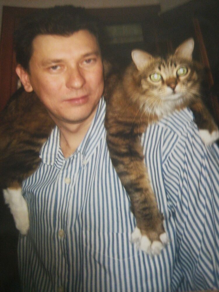 ���� 55084400 ������� �����, 49 ���, ���� ���������� � ��������