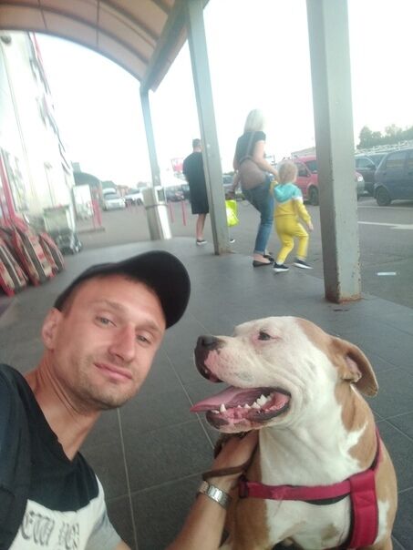 ���� 33062930 ������� �����, 35 ���, ���� ���������� � ������