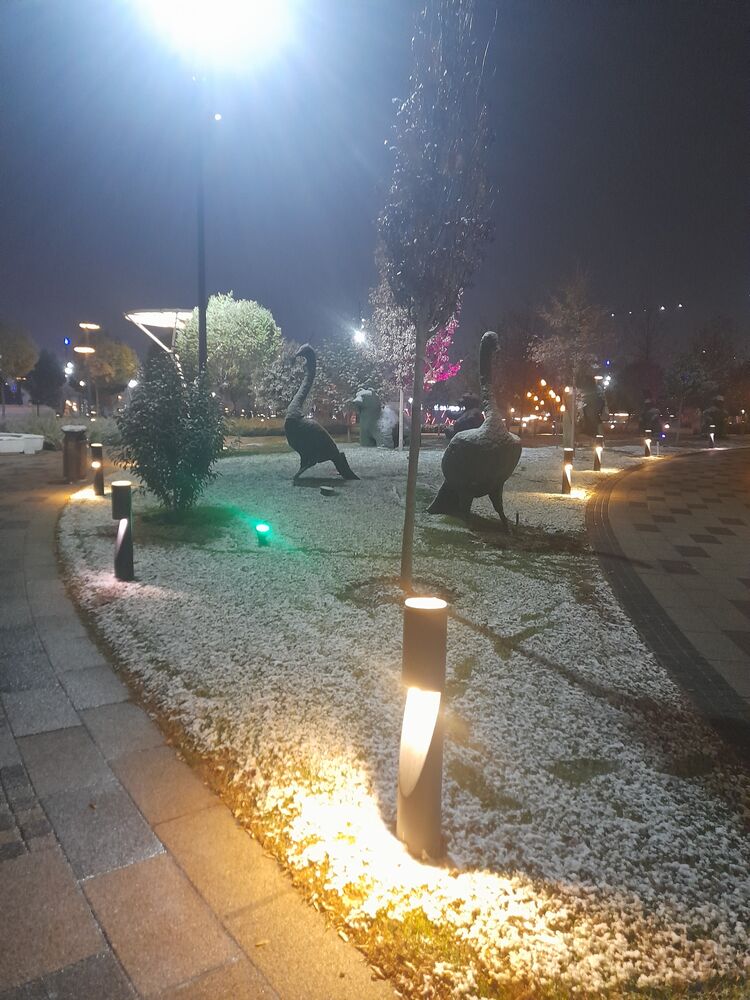 ���������� ������, ���� ������� Mustafa, 28 ���, ������������ ��� ������, ����� � ���������