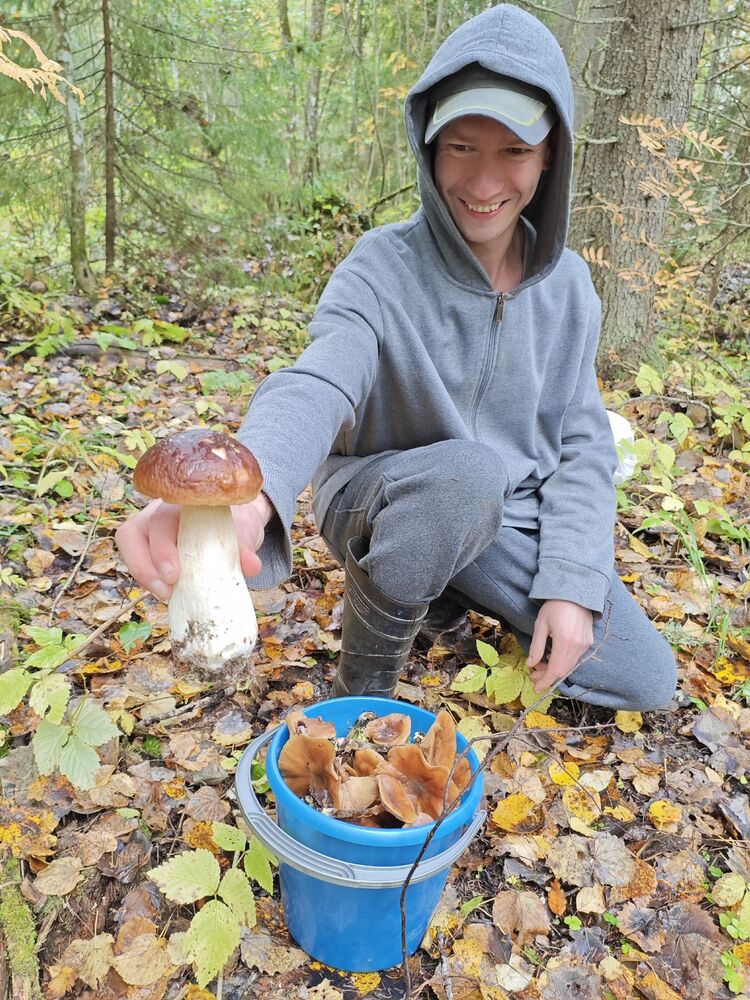 ���� 53743830 ������� ��������, 31 ���, ���� ���������� � �������