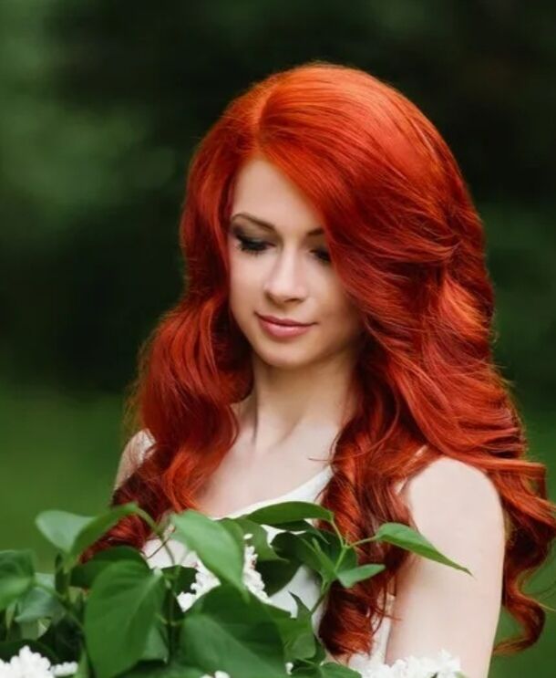 ���� 39667540 ������� ������, 34 ����, ���� ���������� � ������ ���������