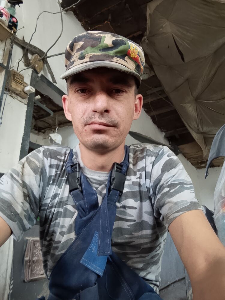  53861580  , 33 ,    -