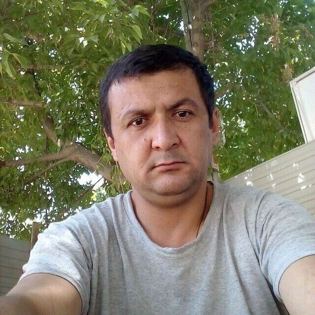  26195120  , 44 ,    -