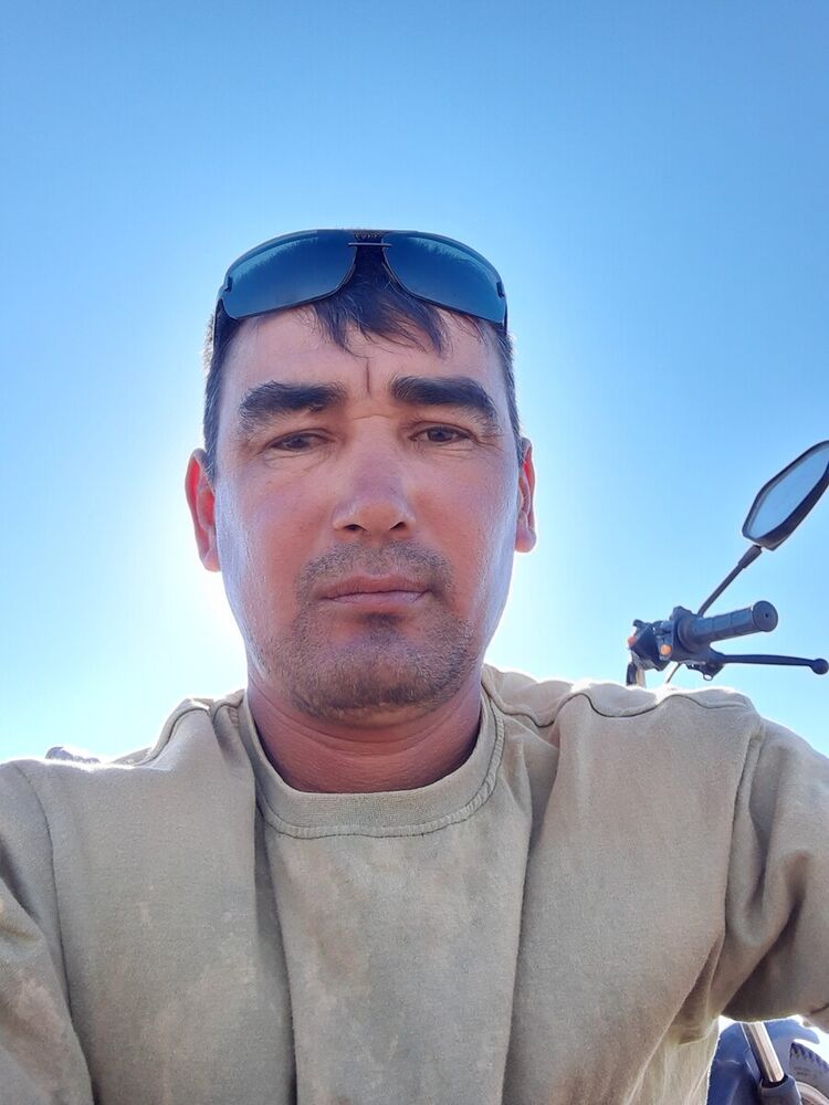  20597700  Savr, 41 ,    