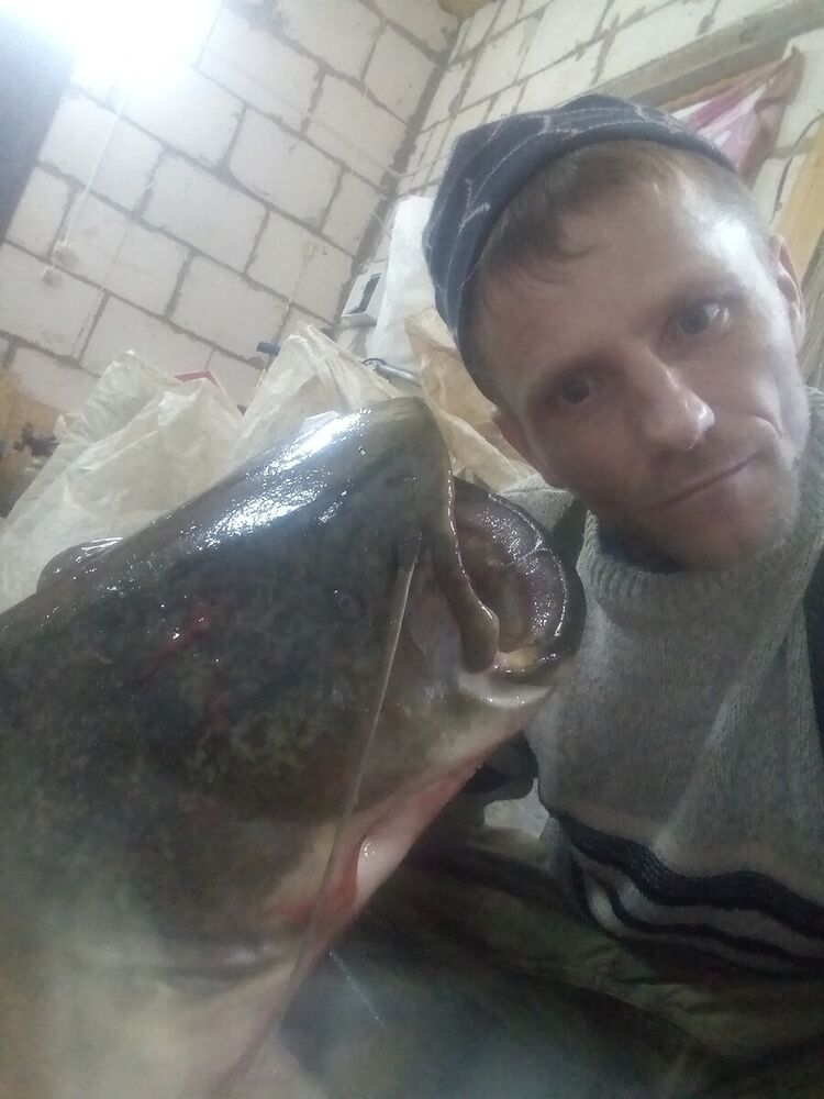  21555930  , 44 ,     