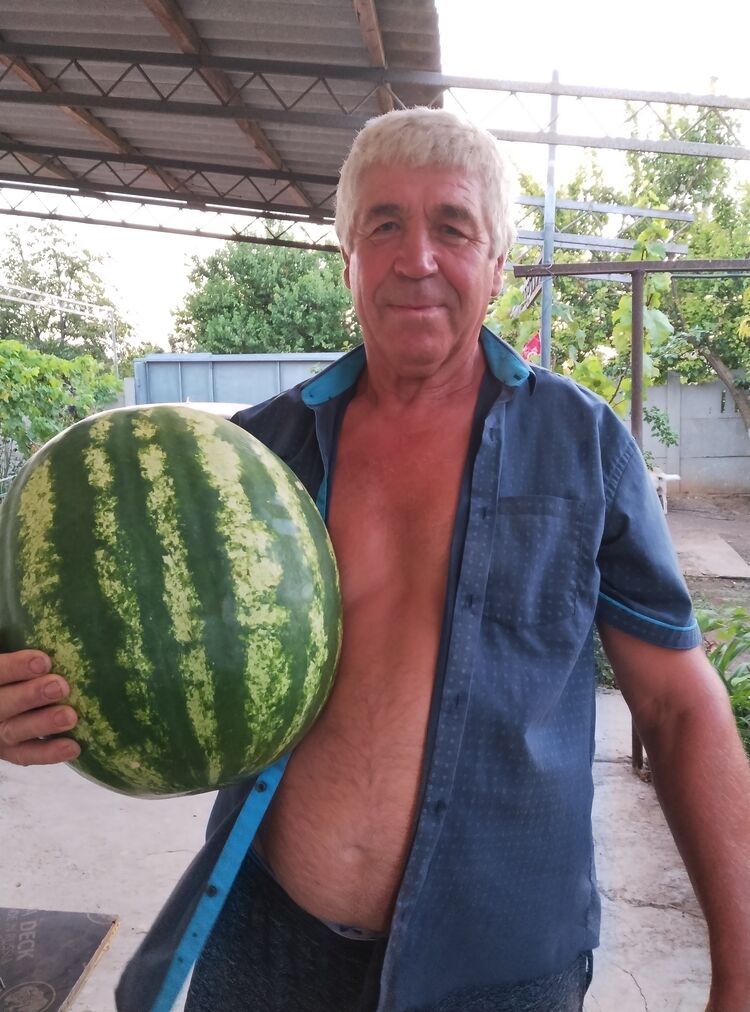  ,   , 65 ,   ,   