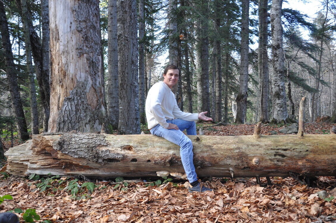 ���� 21971090 ������� ������, 47 ���, ���� ���������� � ����������