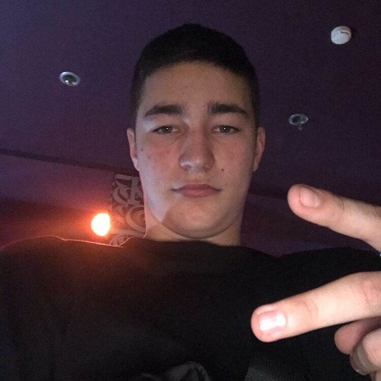  38365050  , 23 ,    