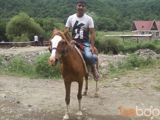 ���������� ����, ���� ������� Ramil, 40 ���, ������������ ��� ����� � ���������, c�������� ���������, ���������