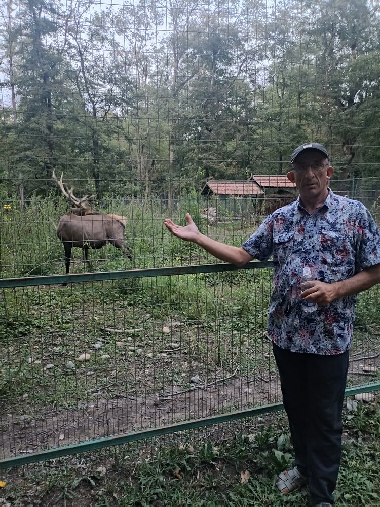  ,   , 45 ,   ,   