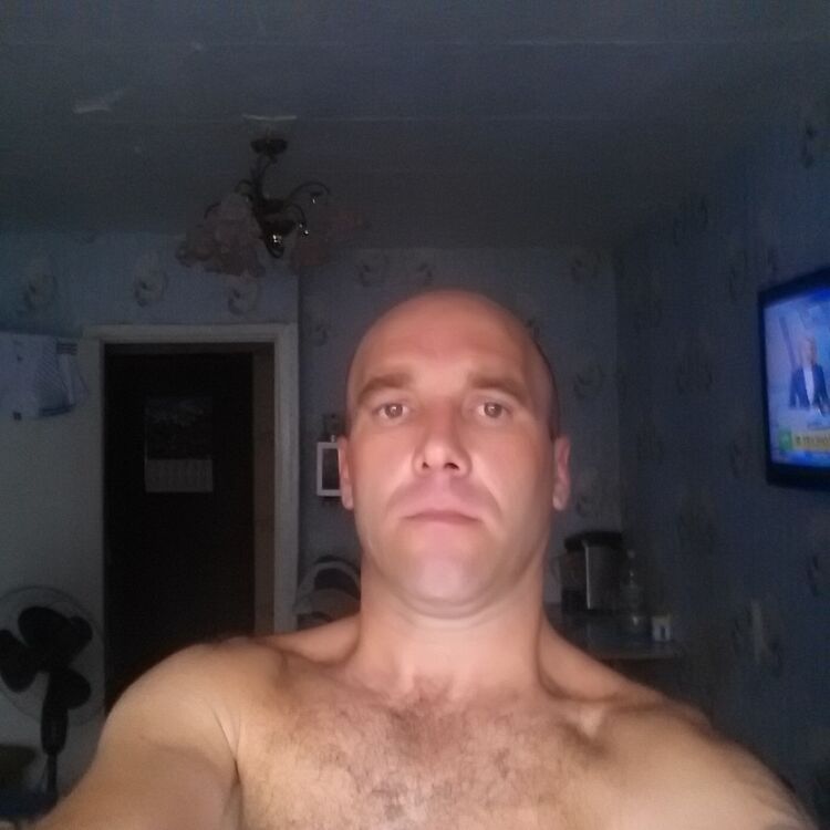 ���� 7986600 ������� �������, 46 ���, ���� ���������� � ��������