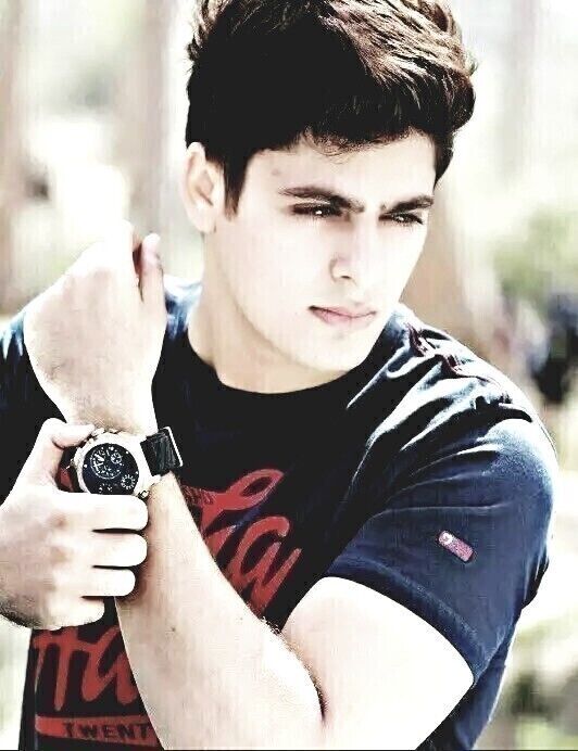 ���� 27311950 ������� ��������, 30 ���, ���� ���������� � ��������