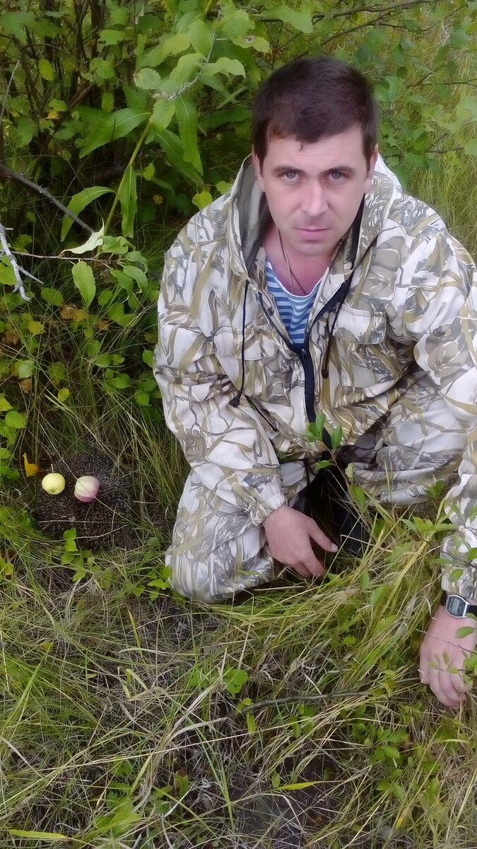 ���� 6596150 ������� ������, 46 ���, ���� ���������� � �����