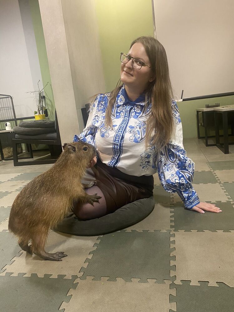 ���������� ������, ���� ������� ����, 37 ���, ������������ ��� ������, ����� � ���������