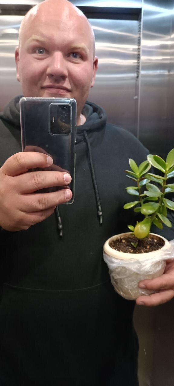  54282030  , 34 ,    -