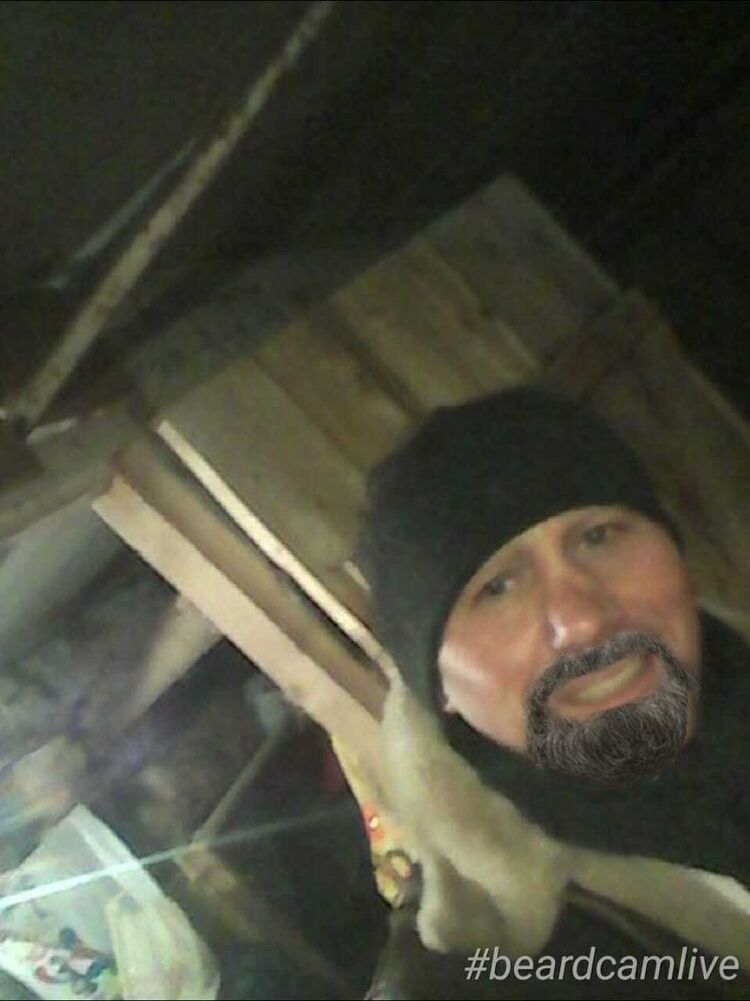  ,   , 53 ,   ,   