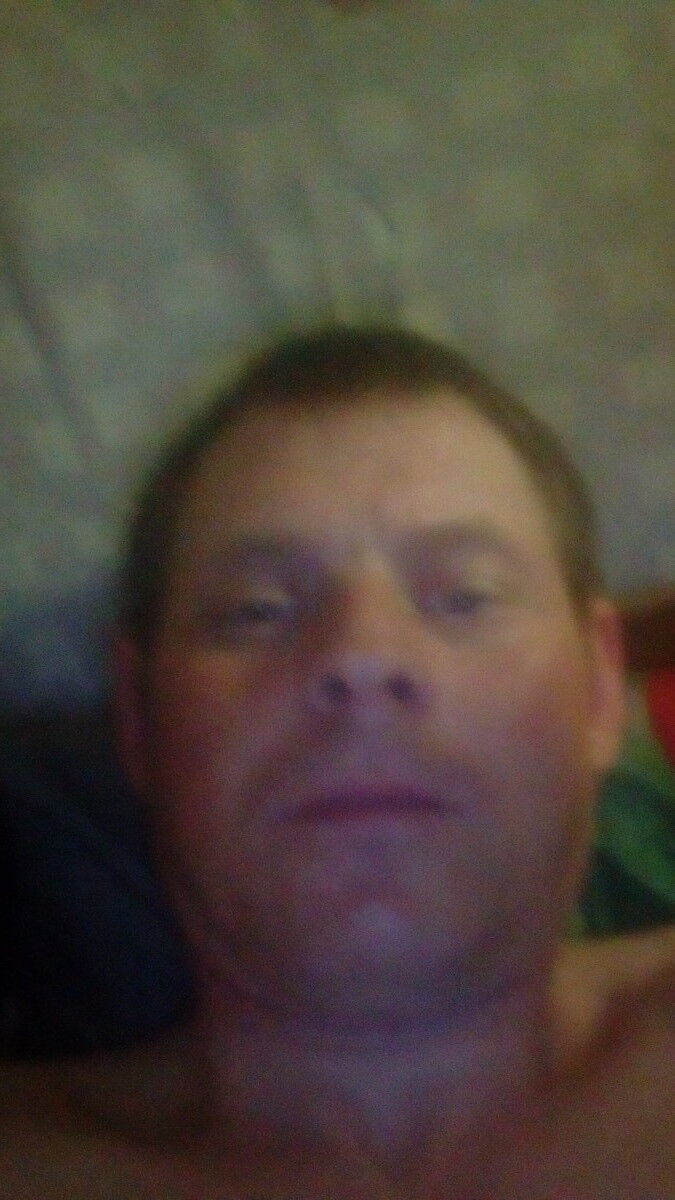  15426380  , 40 ,    
