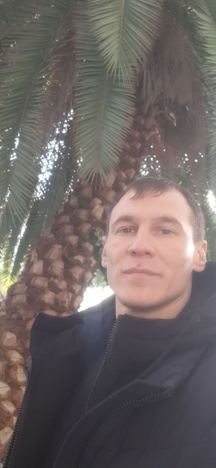 ���� 56100290 ������� �����, 33 ����, ���� ���������� � ����������