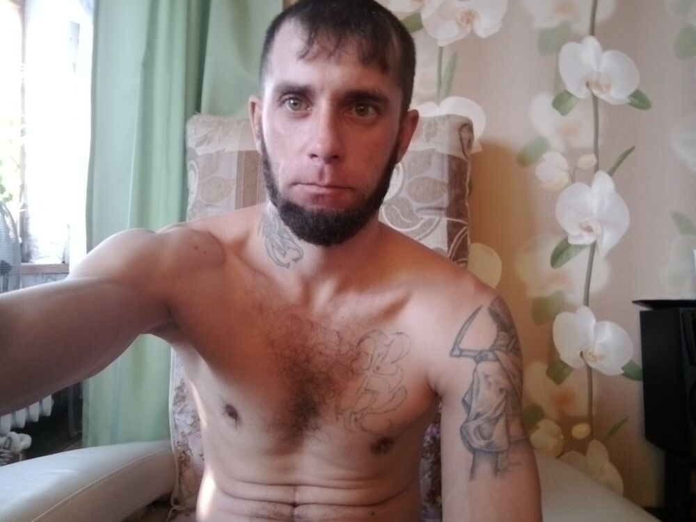  31394690  , 37 ,    
