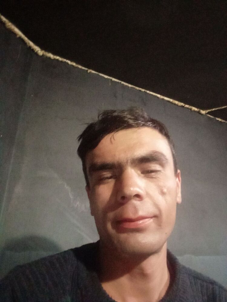 ���� 25826500 ������� Arabbojmusae, 27 ���, ���� ���������� � ������