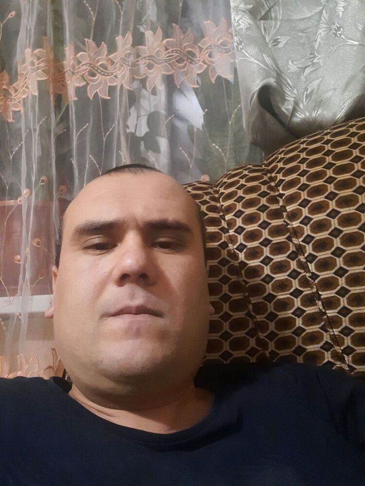  25486660  , 36 ,    