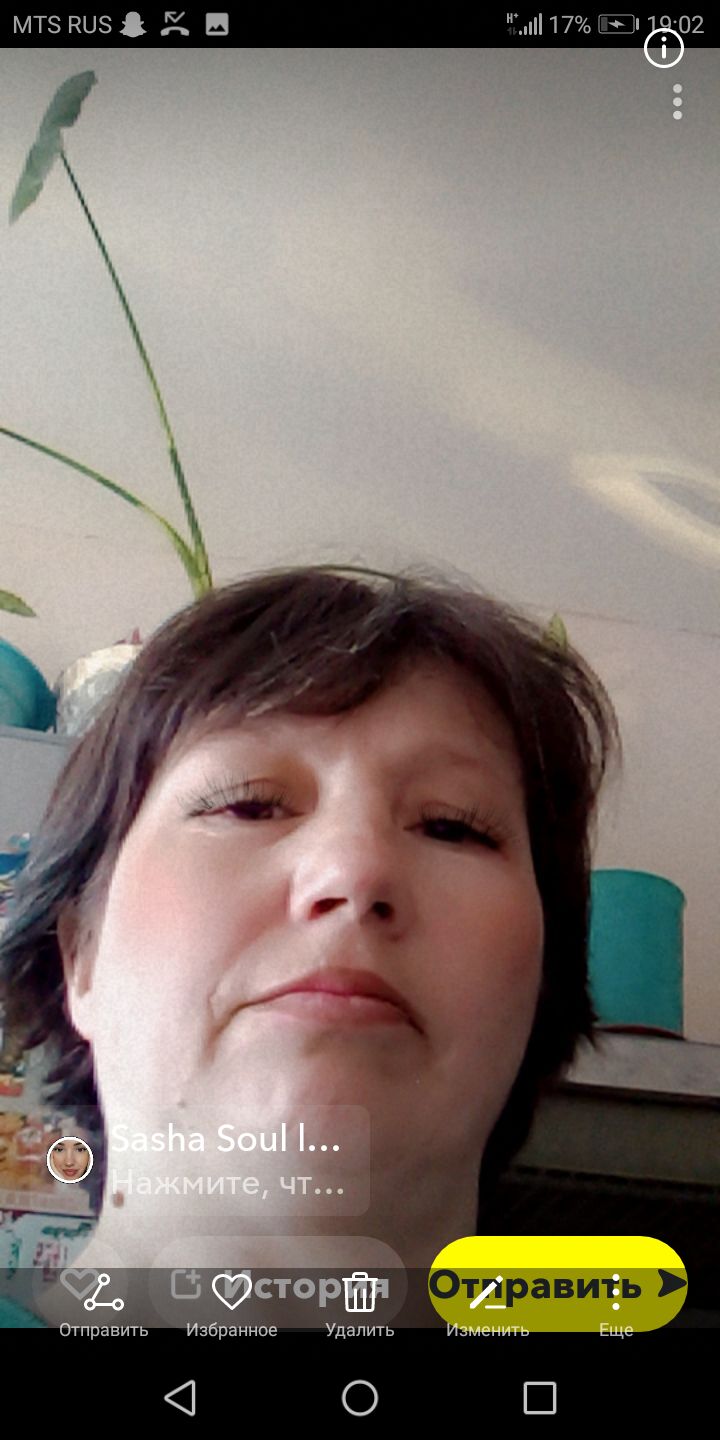  38248690  , 49 ,    