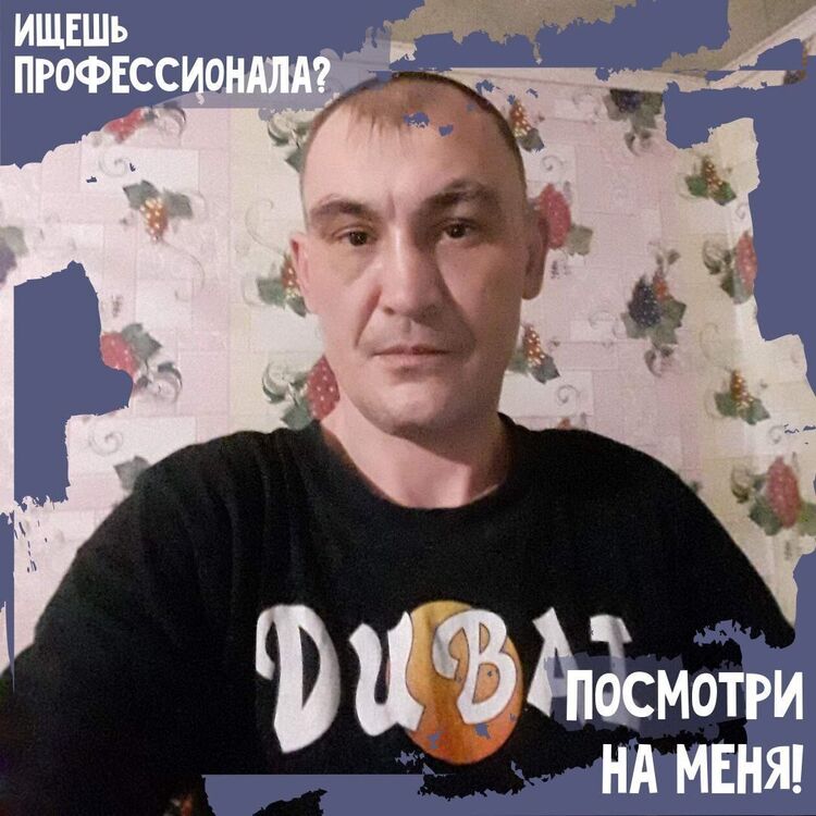  34258960  , 41 ,    