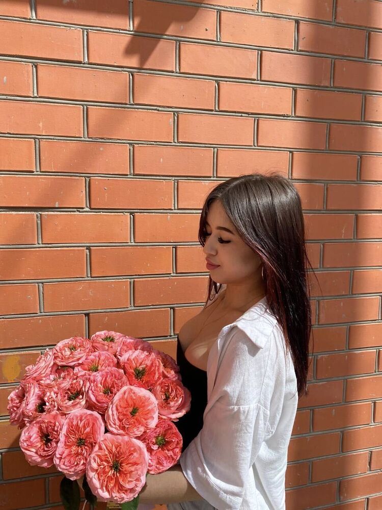  51066620  , 25 ,    