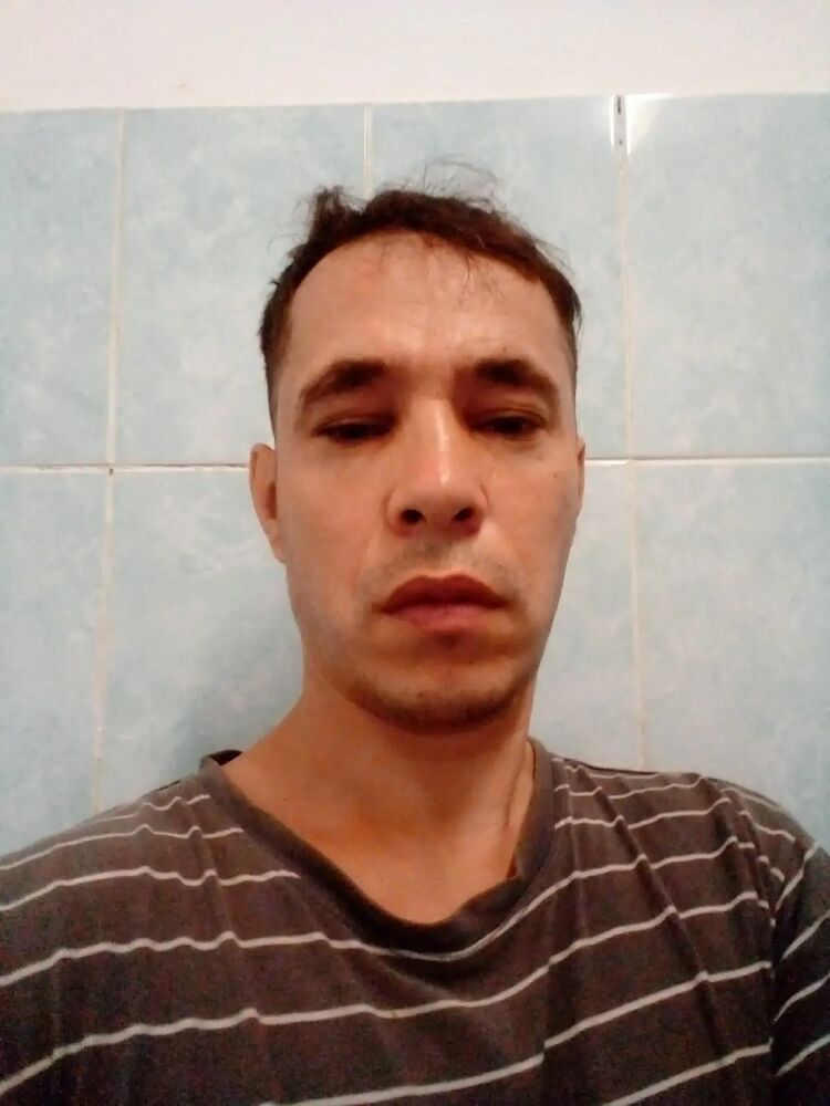  28466230  , 44 ,    