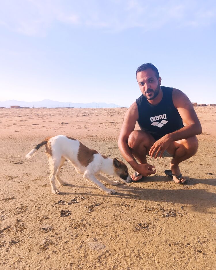  44543150  Mohamed, 33 ,    