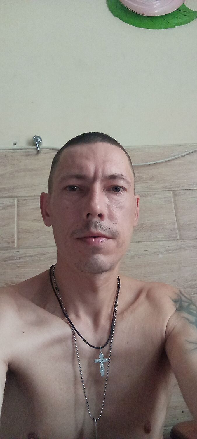 ���� 56031950 ������� ������, 43 ����, ���� ���������� � ������