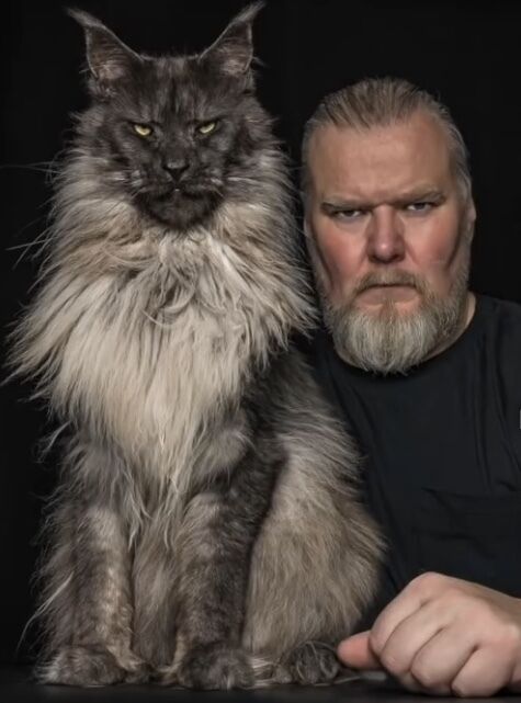 ���������� �������, ���� ������� �����, 32 ����, ������������ ��� ������, ����� � ���������