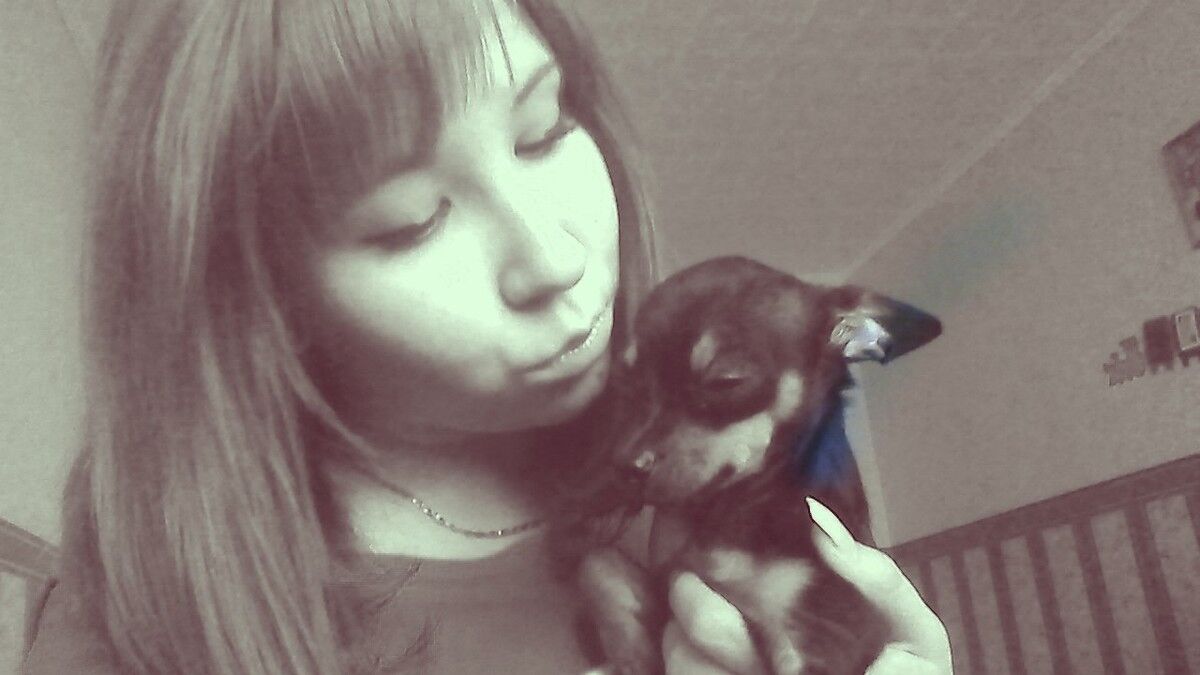 ���������� �����-���������, ���� ������� �������, 33 ����, ������������ ��� ������, ����� � ���������, c�������� ���������