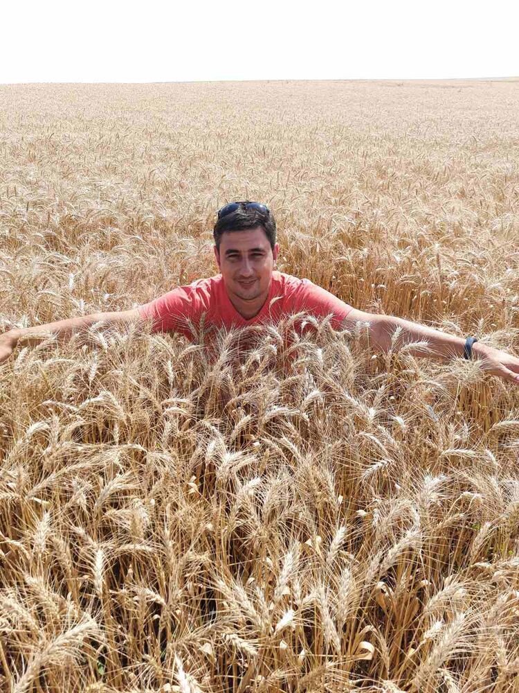 ���������� �������, ���� ������� ������, 45 ���, ������������ ��� ������, ����� � ���������, c�������� ���������