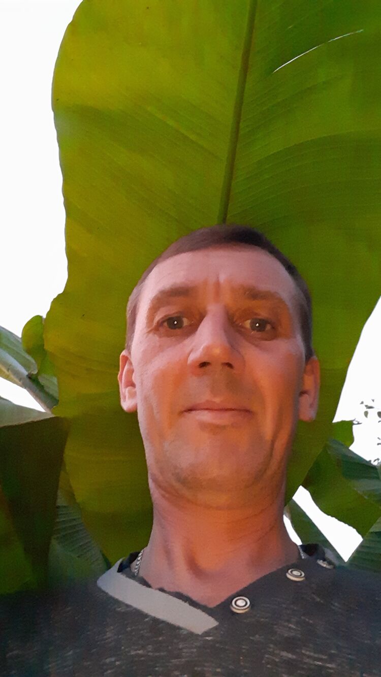  37520530  , 45 ,    