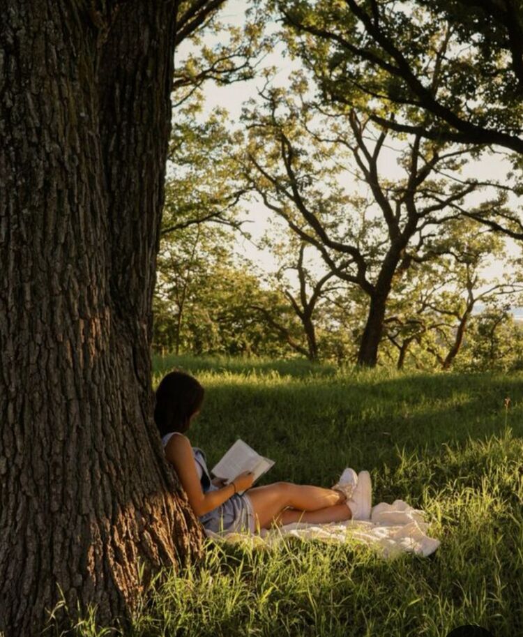  49261870  , 35 ,    Phuket