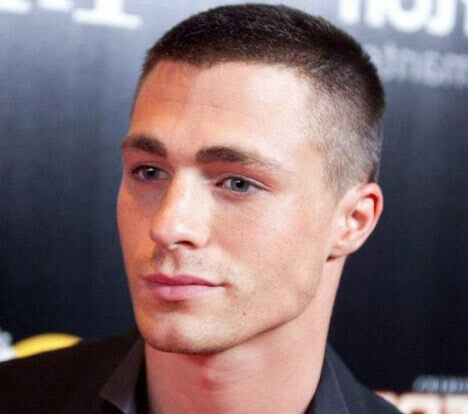 ���� 31808860 ����� ��������, 23 ����, ���� ���������� � �����������