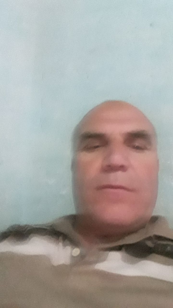  39320770  , 56 ,    
