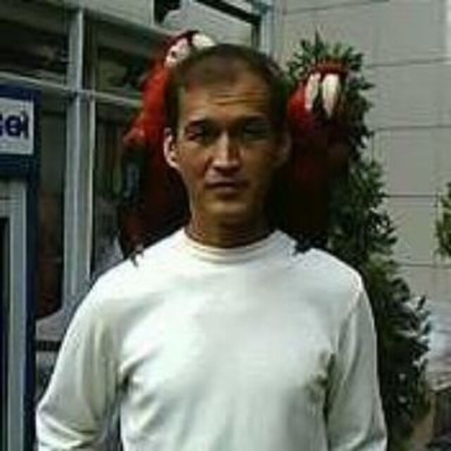  ,   , 51 ,   c 
