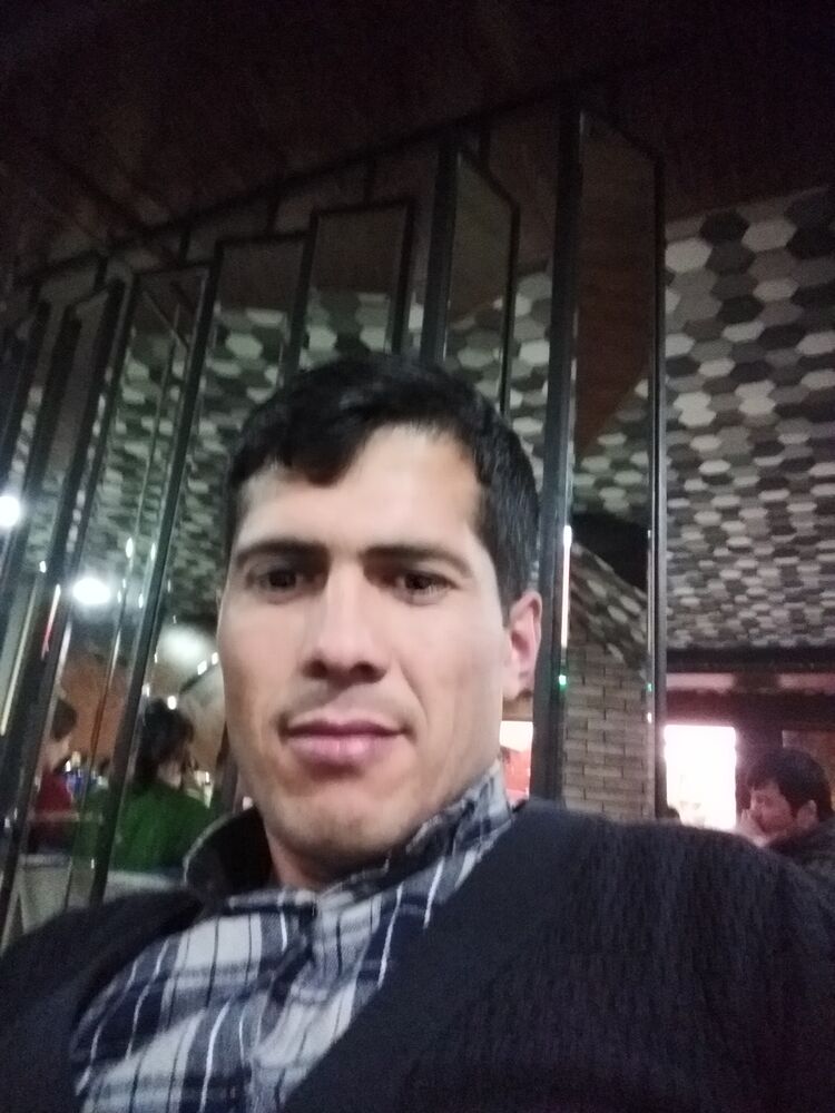 ���� 23125640 ������� Norbik, 33 ����, ���� ���������� � ����������