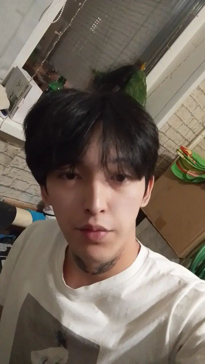 ���������� ����������, ���� ����� ������, 23 ����, ������������ ��� ������, ����� � ���������, ���������