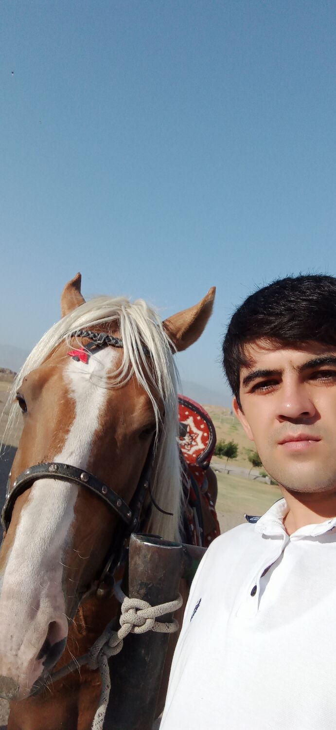 ���� 23932390 ������� Tahir, 36 ���, ���� ���������� � �������