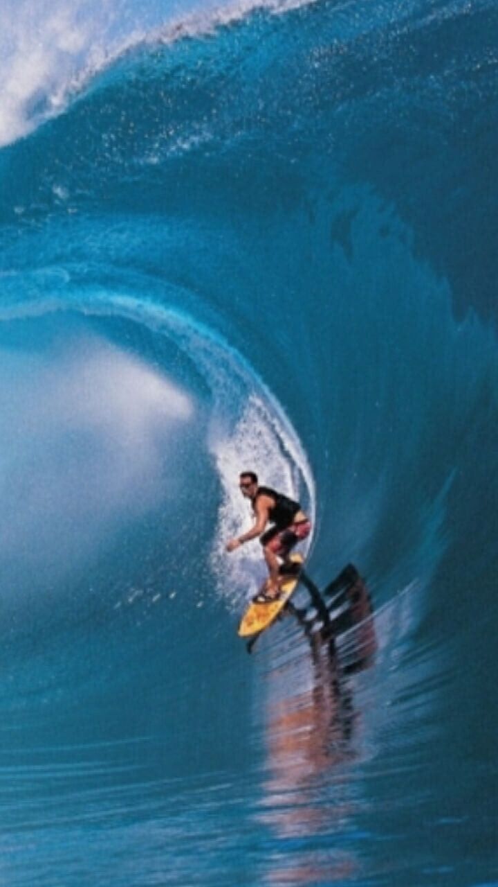 ���� 31917560 ������� ���������, 37 ���, ���� ���������� � ��������